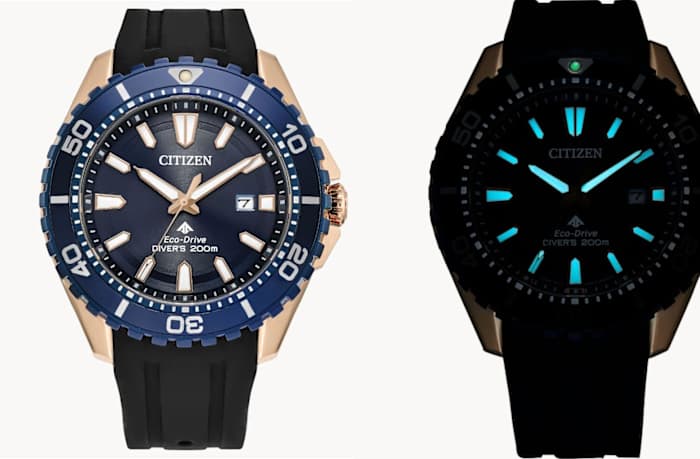 Citizen Watch Promaster Dive Blue Dial and underwater view